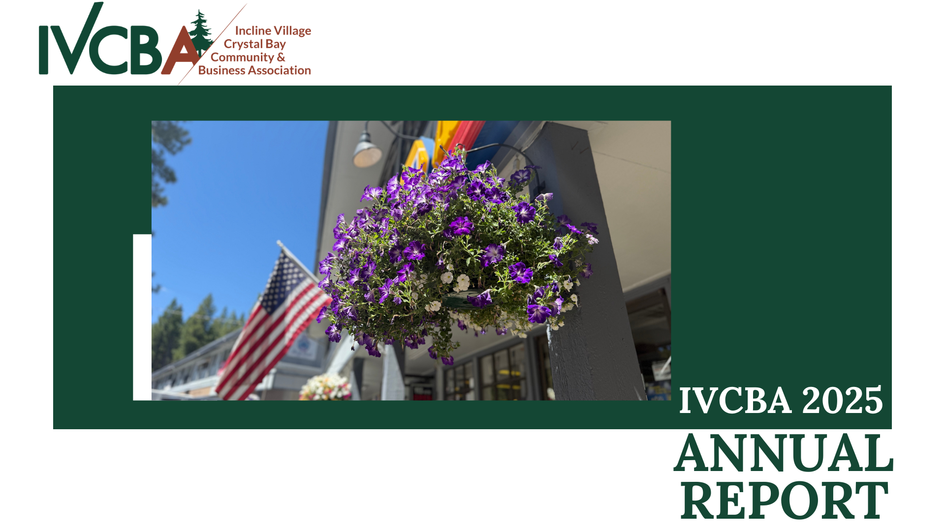 IVCBA 2025 Annual Report